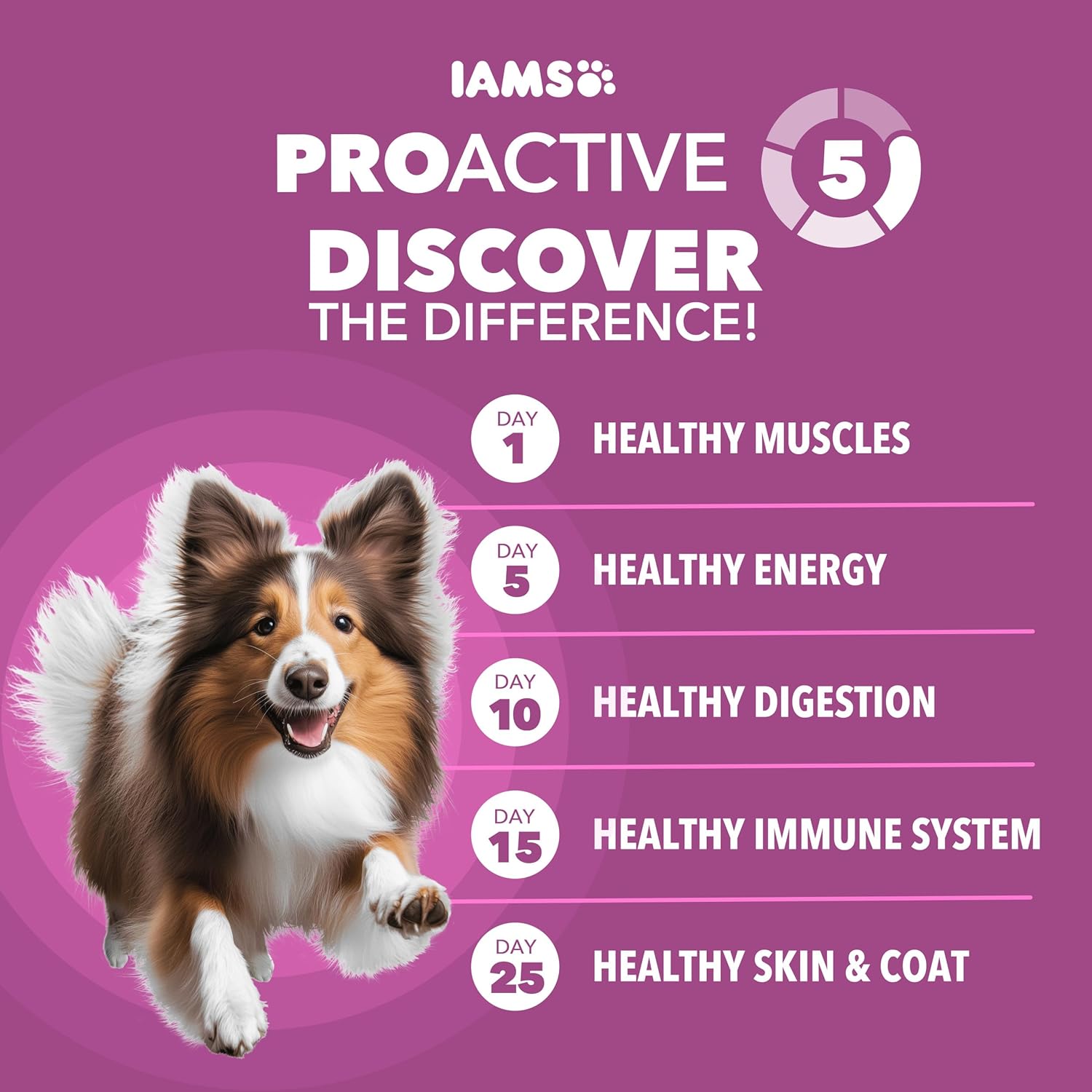IAMS Proactive Health Healthy Aging Adult Dry Dog Food for Mature and Senior Dogs, 15 lb. Bag
