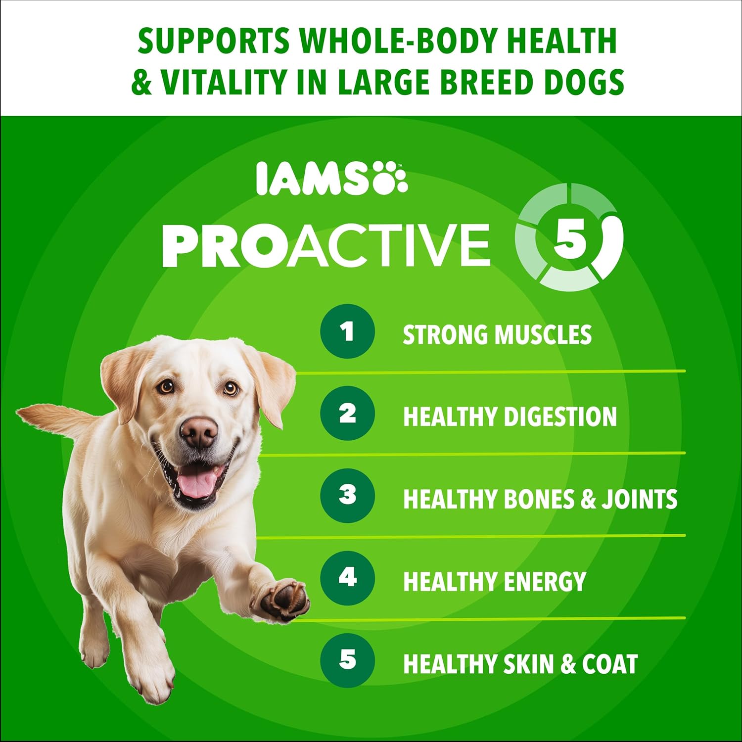 IAMS Proactive Health Large Breed Adult Dry Dog Food Chicken & Whole Grain Recipe, 40 lb. Bag