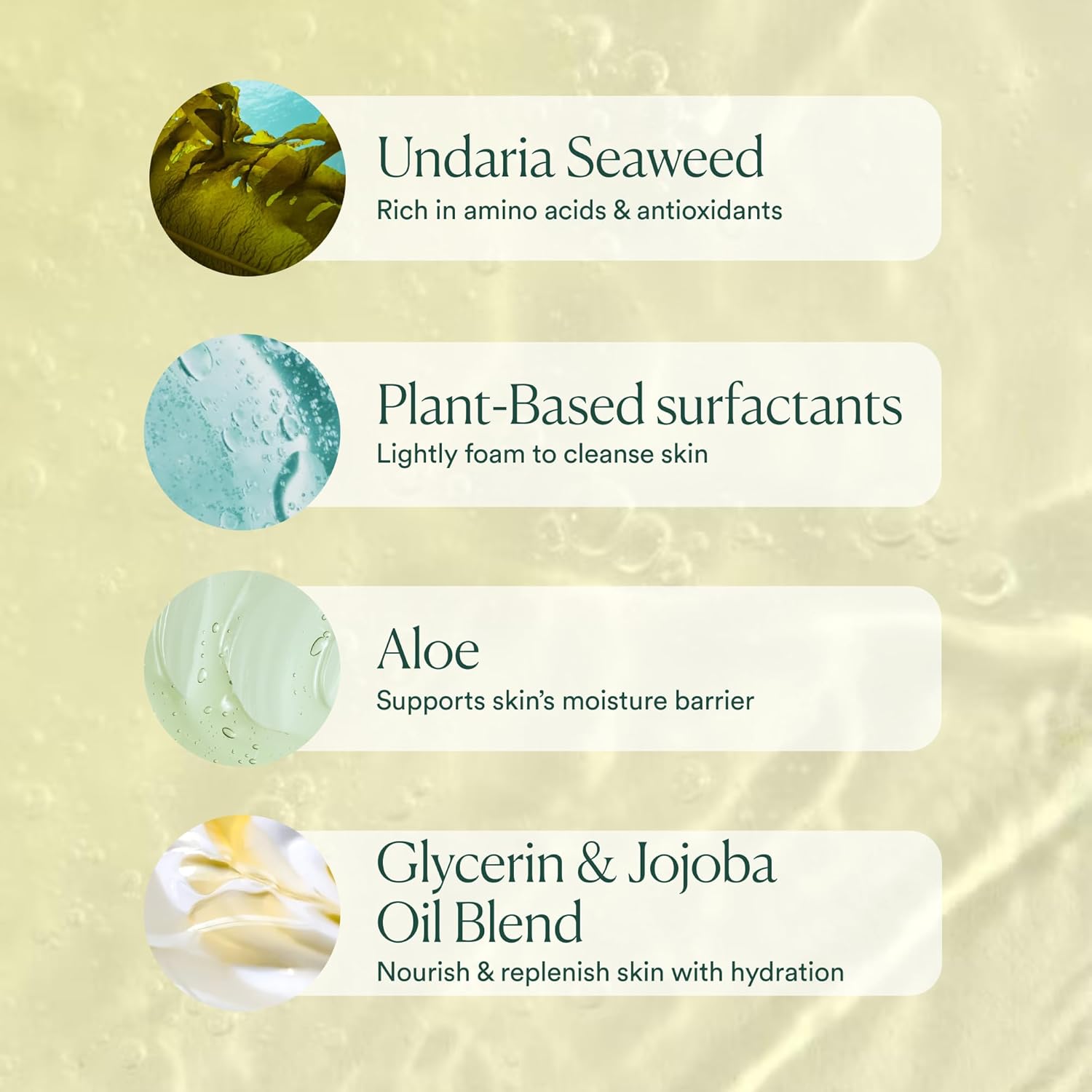 OSEA Undaria Algae™ Body Wash - pH Balanced - Hydrating & Moisturizing Citrus Scented Cleanser - Clean, Vegan, Non-Toxic Skincare - 8oz