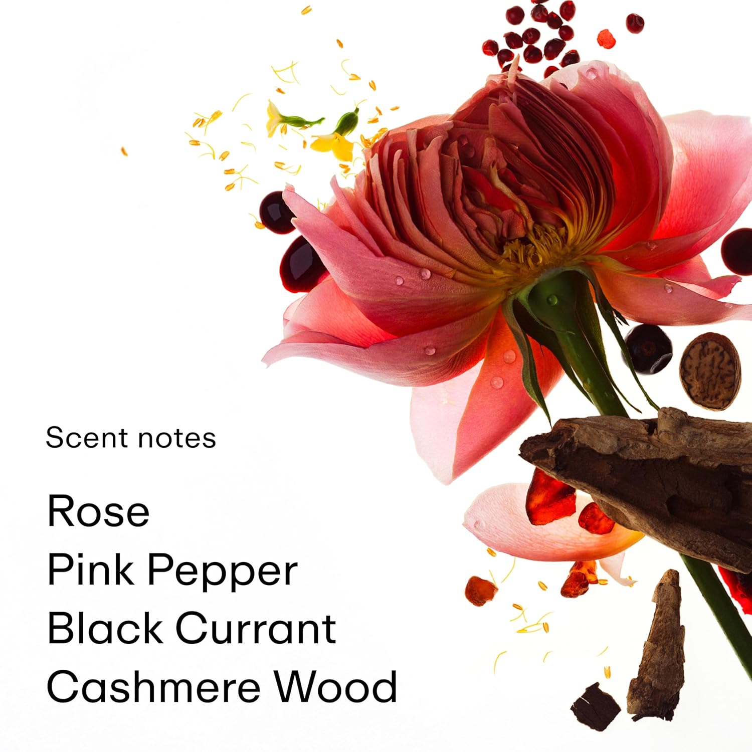 PHLUR Rose Whip Eau de Parfum - Travel Size Perfume - Woody Floral Perfume with Rose, Black Currant, (9.5mL)