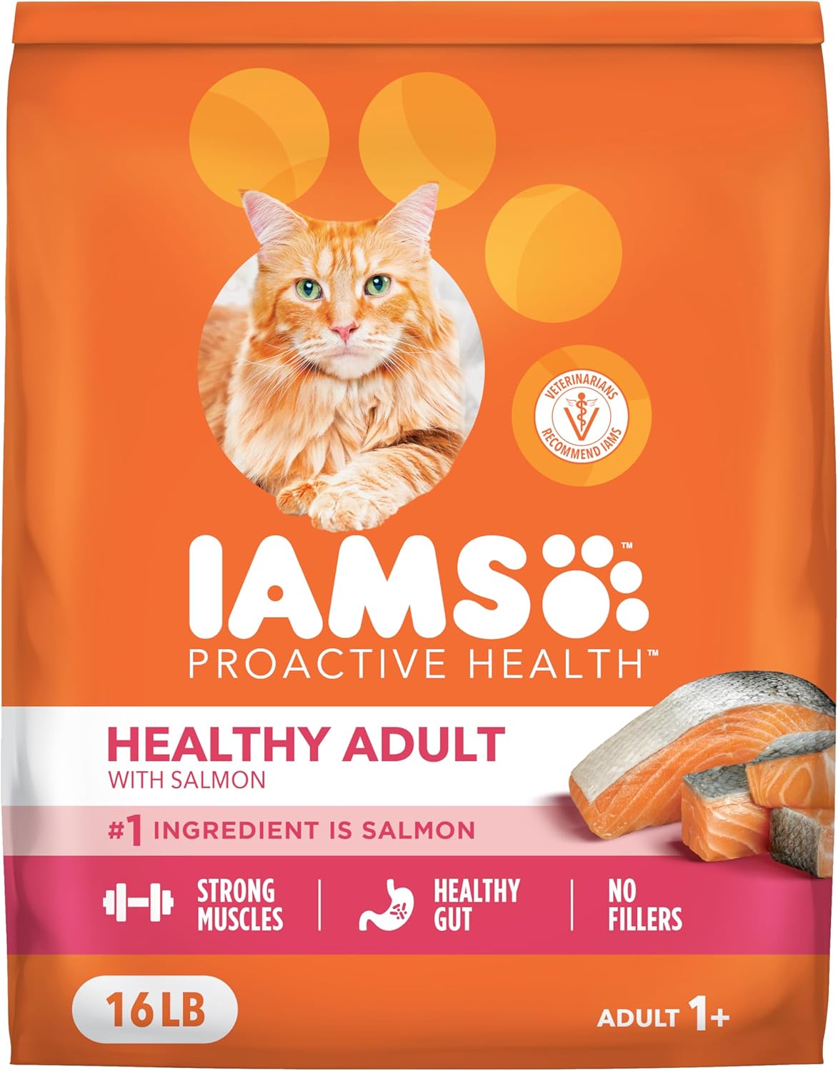 IAMS Proactive Health Adult Healthy Dry Cat Food with Real Salmon, 16 lb. Bag
